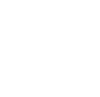 Borealis Care Logo